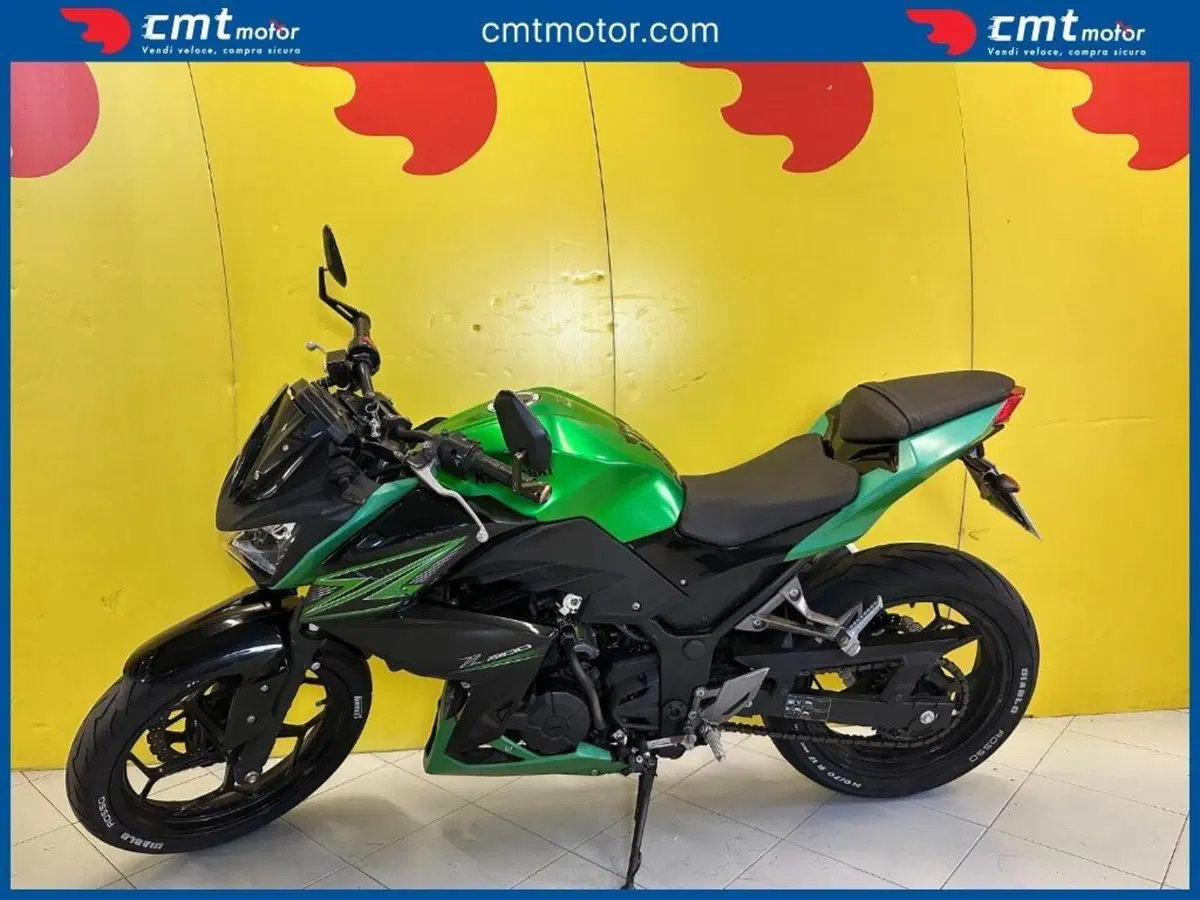 Kawasaki Z 300 ABS (2015 - 16) (3)