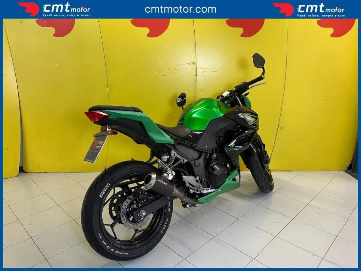 Kawasaki Z 300 ABS (2015 - 16) (4)