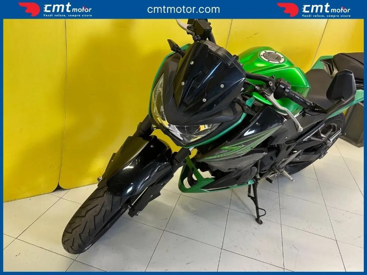 Kawasaki Z 300 ABS (2015 - 16) (6)