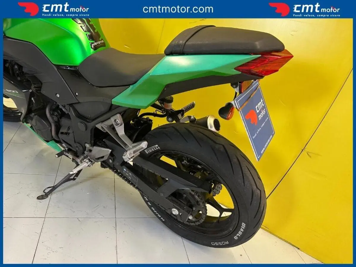 Kawasaki Z 300 ABS (2015 - 16) (8)