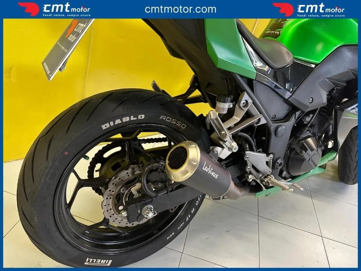 Kawasaki Z 300 ABS (2015 - 16) (9)