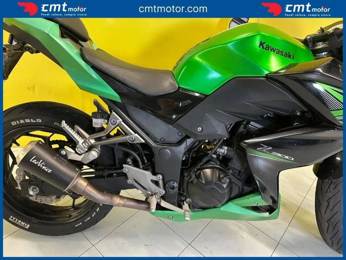 Kawasaki Z 300 ABS (2015 - 16) (10)