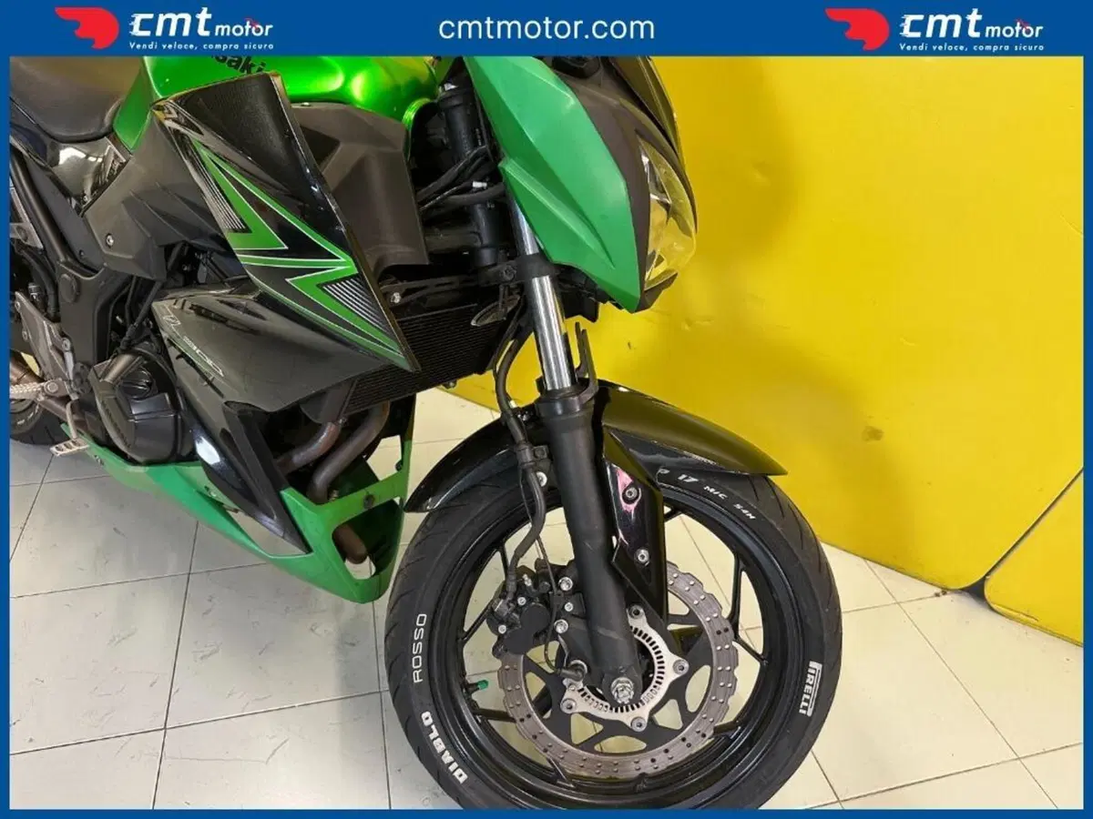 Kawasaki Z 300 ABS (2015 - 16) (11)