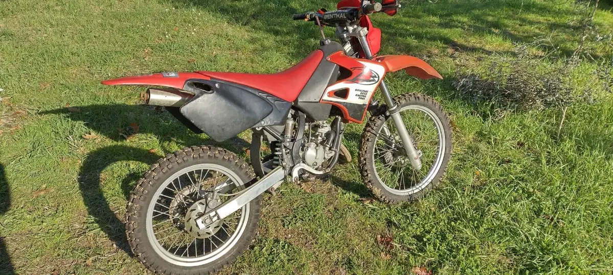 Betamotor Cross (4)