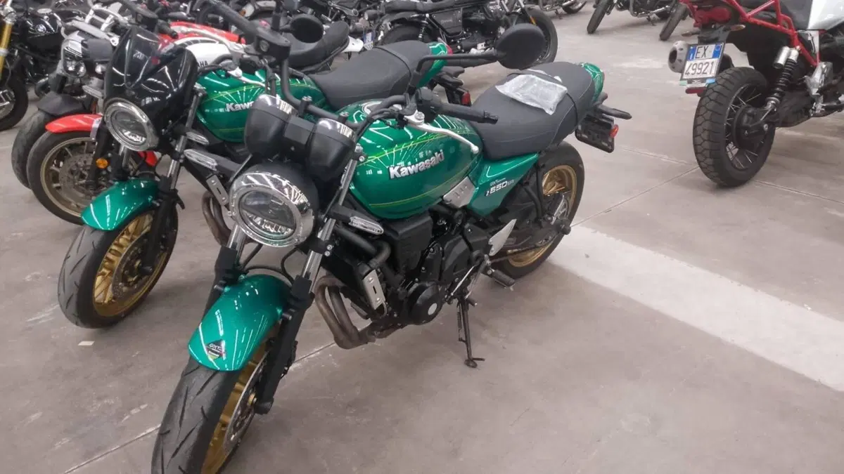 Kawasaki Z 650 RS (2022 - 24)
