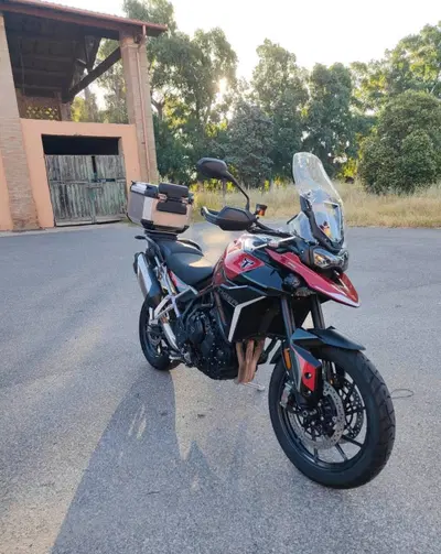 Triumph Tiger 900 GT Pro (2024 - 26) usata