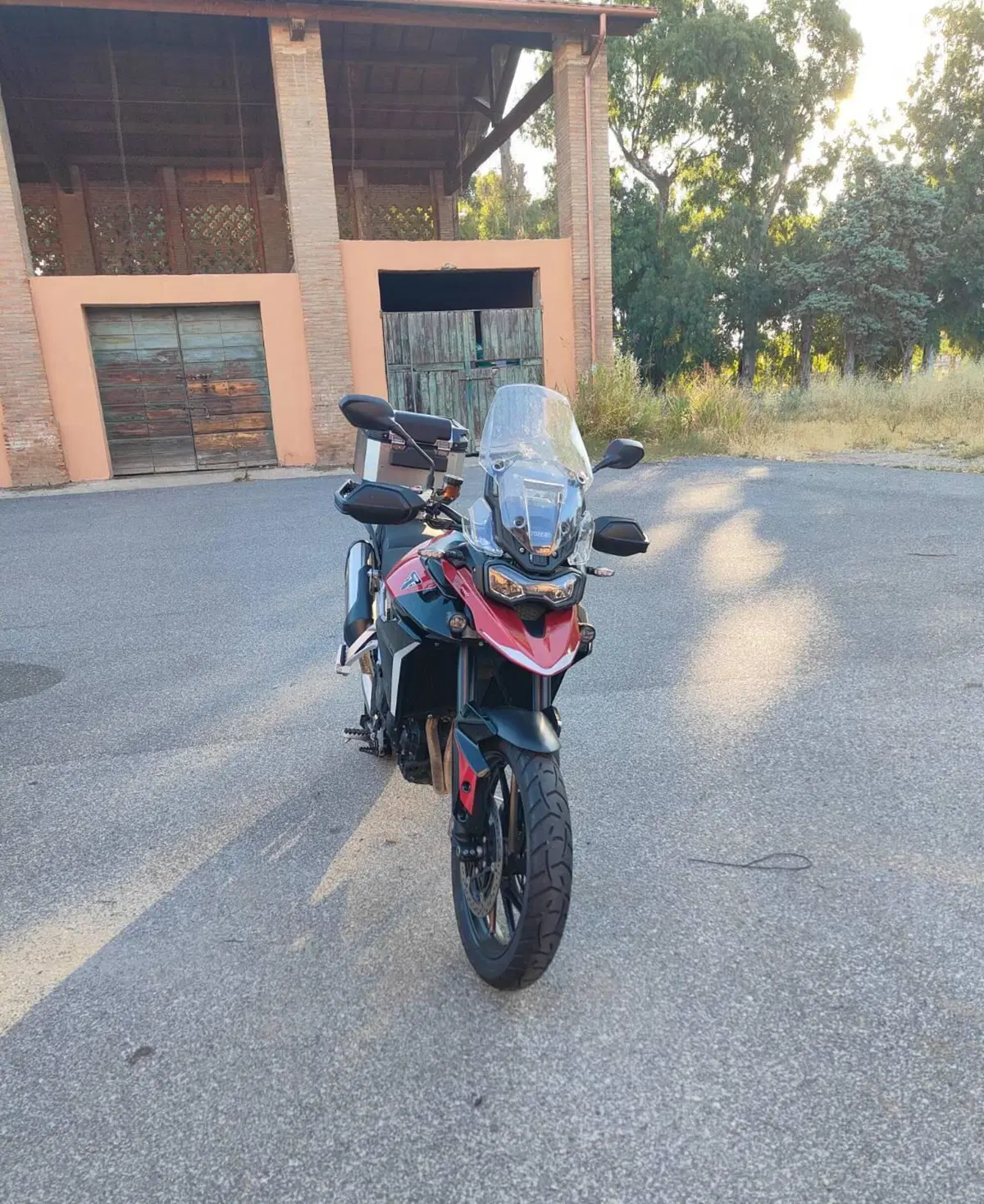 Triumph Tiger 900 GT Pro (2024 - 26) (3)