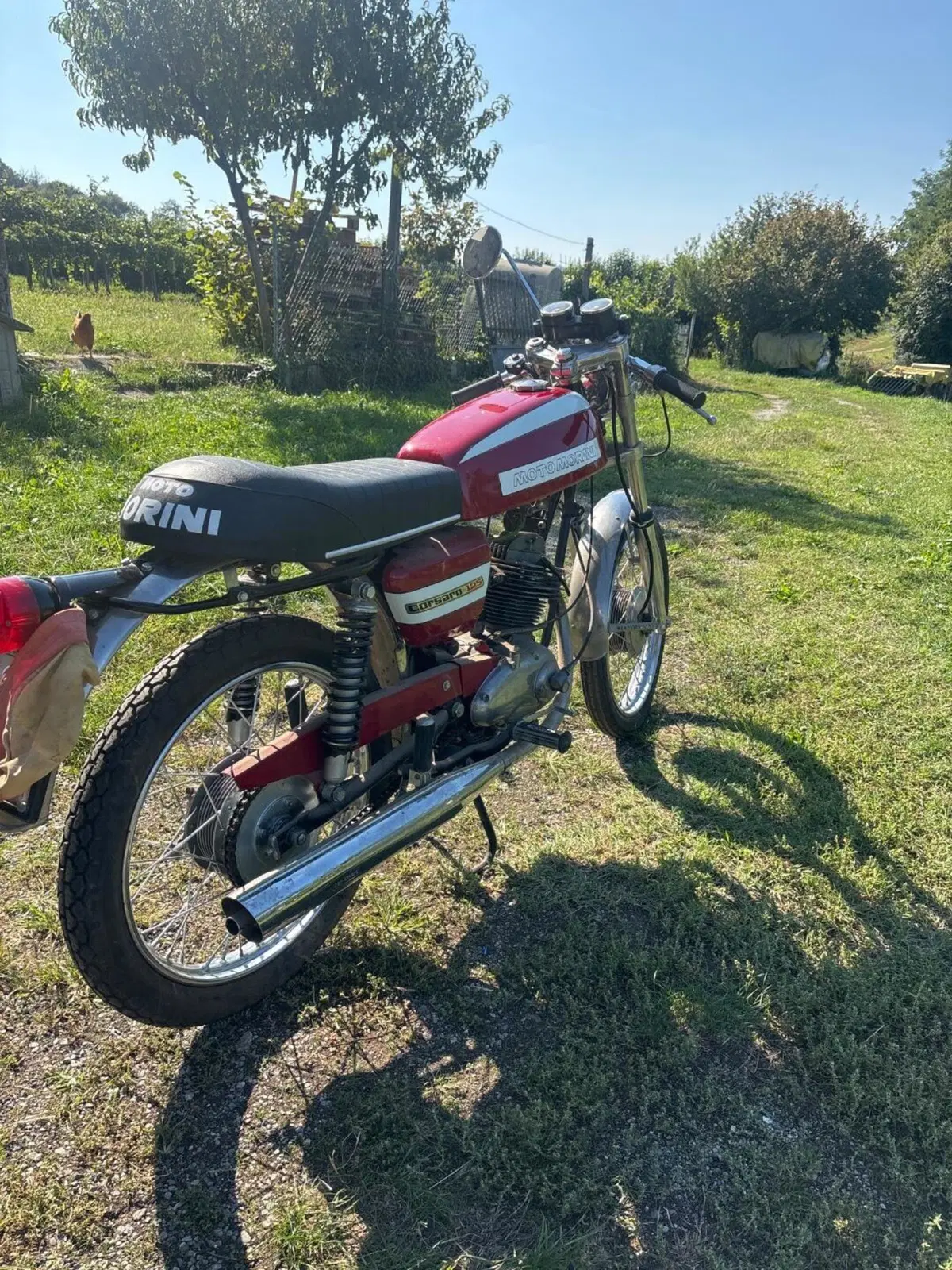Morini Corsaro 125 special  (3)