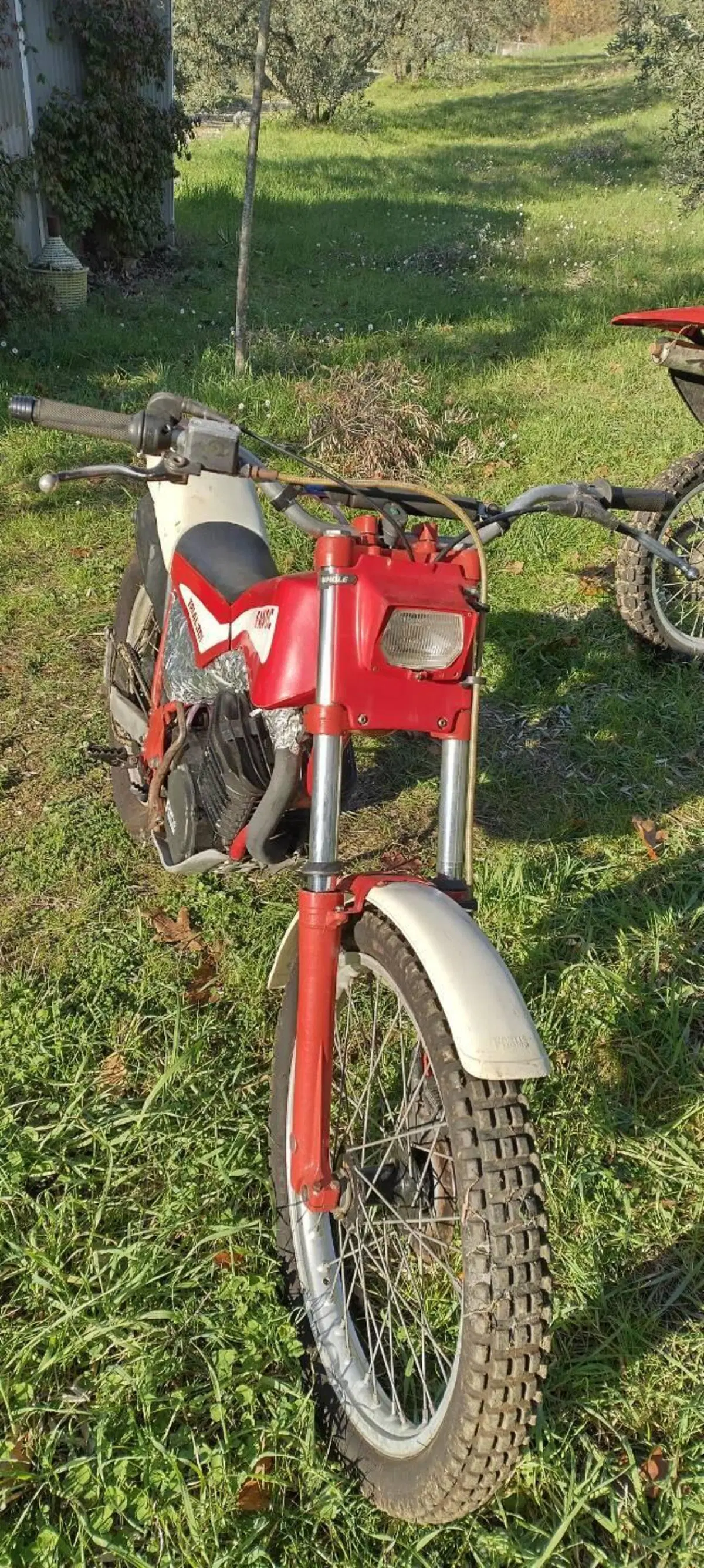 Fantic Motor Trail 301 (3)