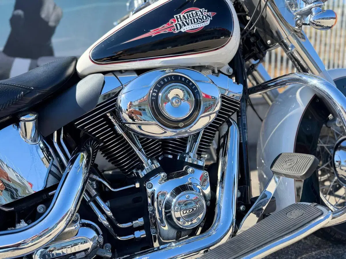 Harley-Davidson 1690 Deluxe ABS (2011 - 16) - FLSTN (2)