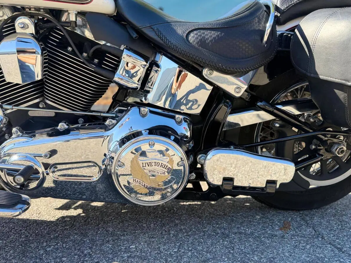 Harley-Davidson 1690 Deluxe ABS (2011 - 16) - FLSTN (3)