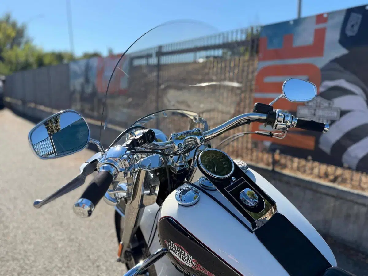 Harley-Davidson 1690 Deluxe ABS (2011 - 16) - FLSTN (4)