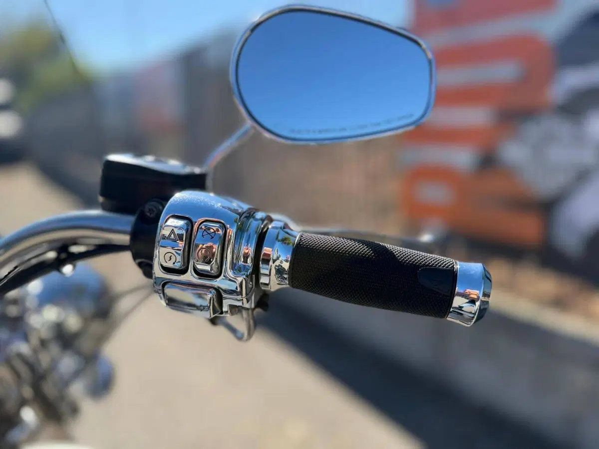 Harley-Davidson 1690 Deluxe ABS (2011 - 16) - FLSTN (5)