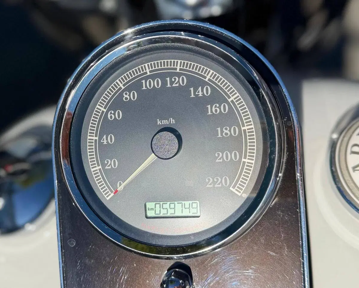 Harley-Davidson 1690 Deluxe ABS (2011 - 16) - FLSTN (10)