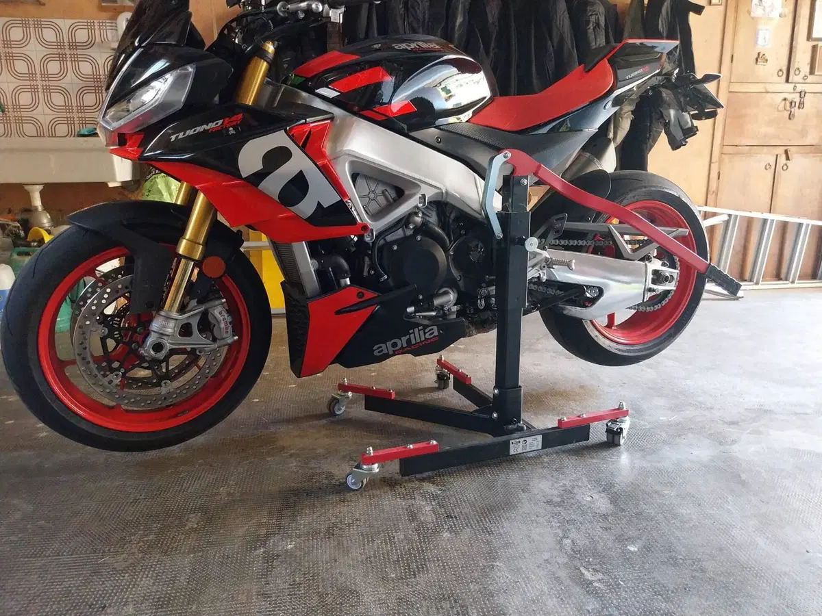 Aprilia Tuono V4 Factory (2021 - 24)