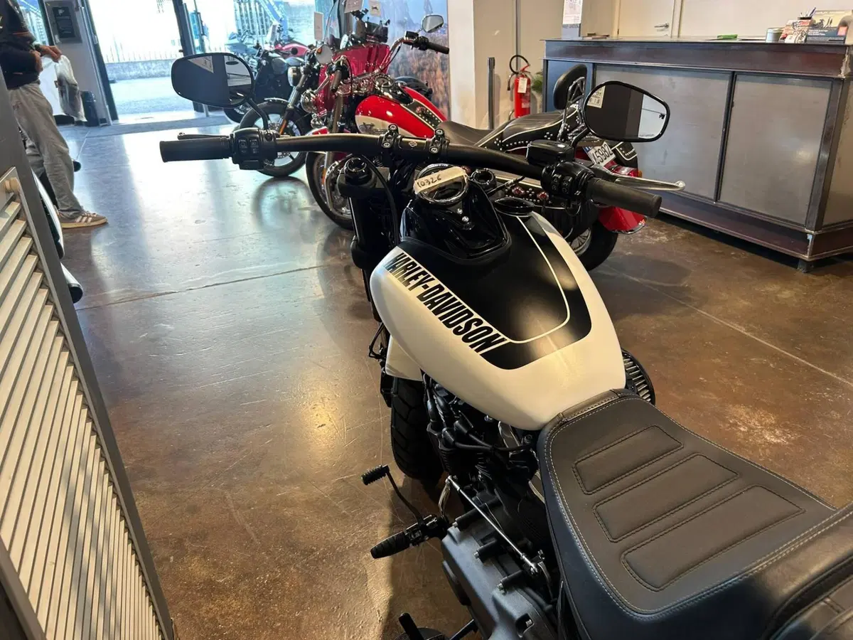 Harley-Davidson 114 Fat Bob (2018 - 20) - FXFBS (2)
