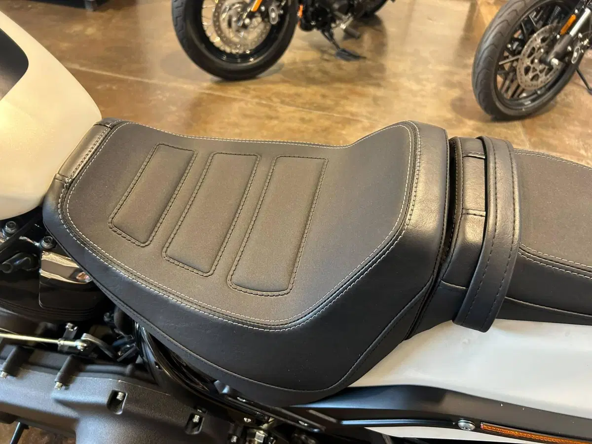 Harley-Davidson 114 Fat Bob (2018 - 20) - FXFBS (3)