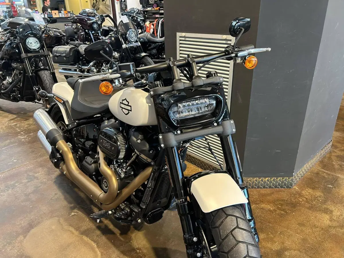 Harley-Davidson 114 Fat Bob (2018 - 20) - FXFBS (4)
