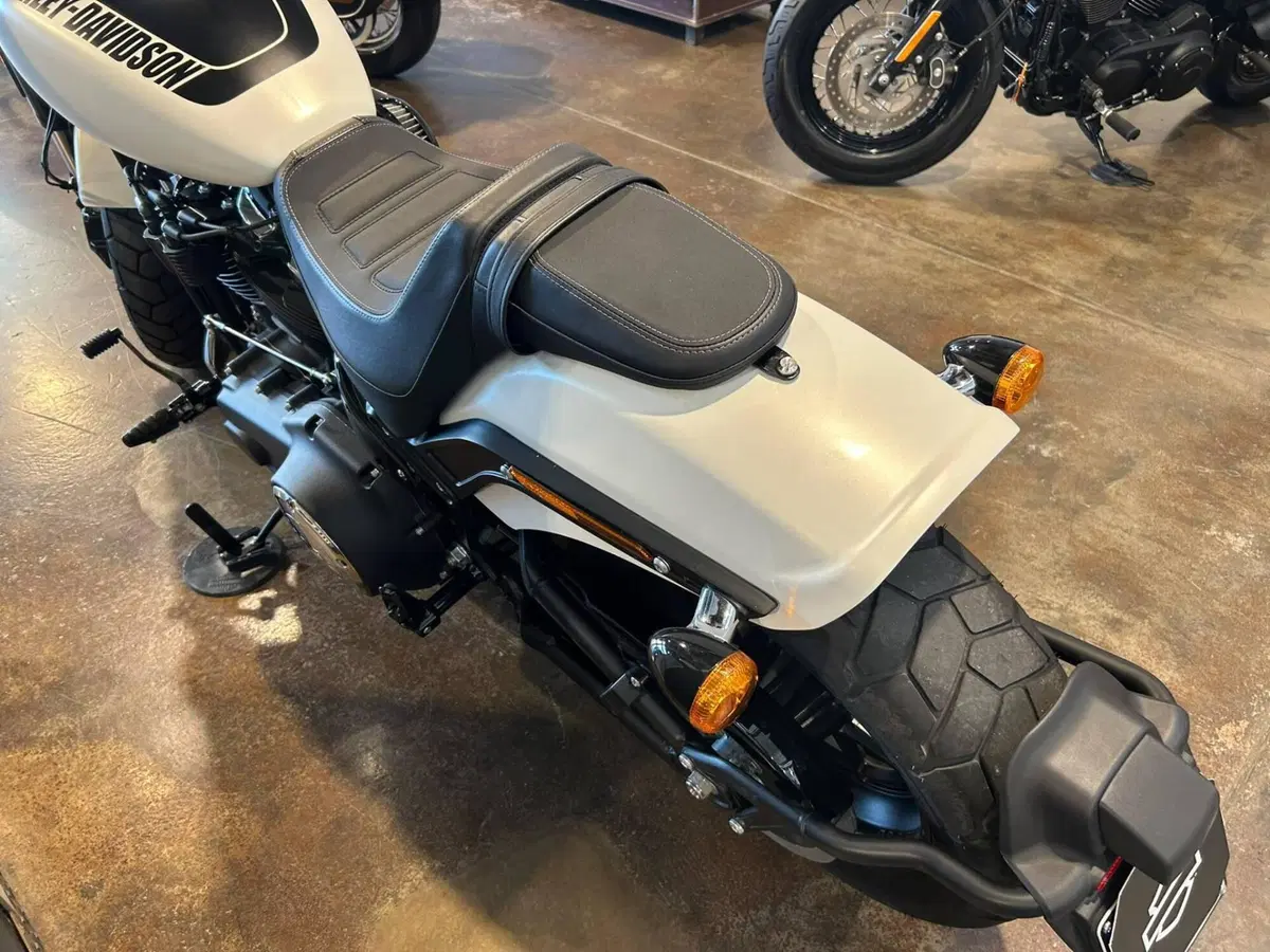 Harley-Davidson 114 Fat Bob (2018 - 20) - FXFBS (5)