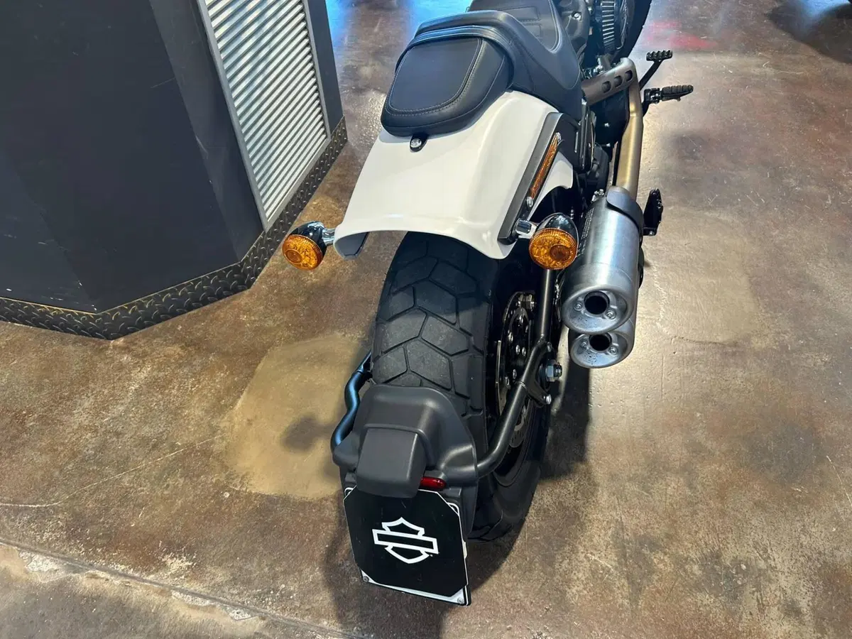 Harley-Davidson 114 Fat Bob (2018 - 20) - FXFBS (6)