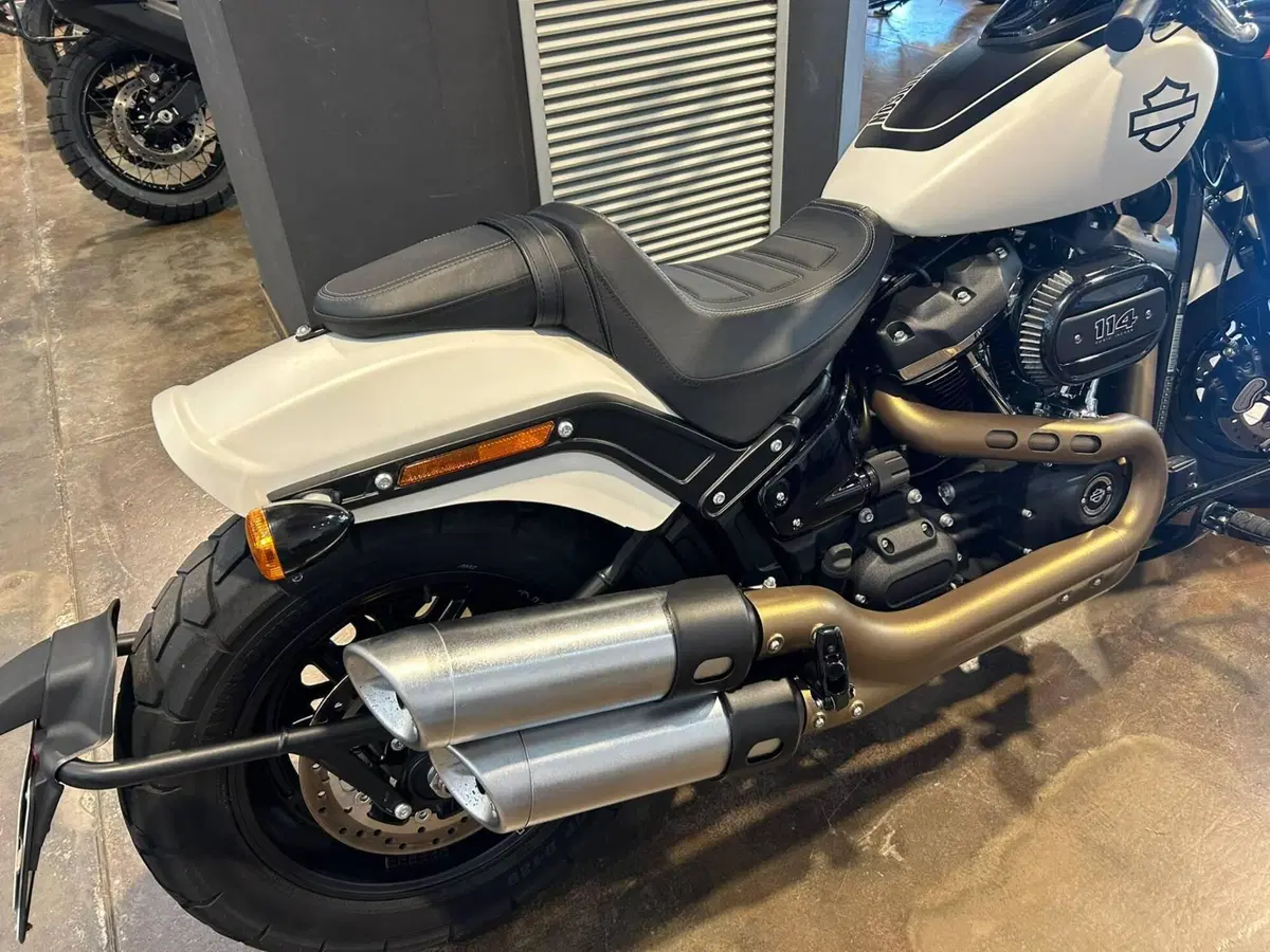 Harley-Davidson 114 Fat Bob (2018 - 20) - FXFBS (7)