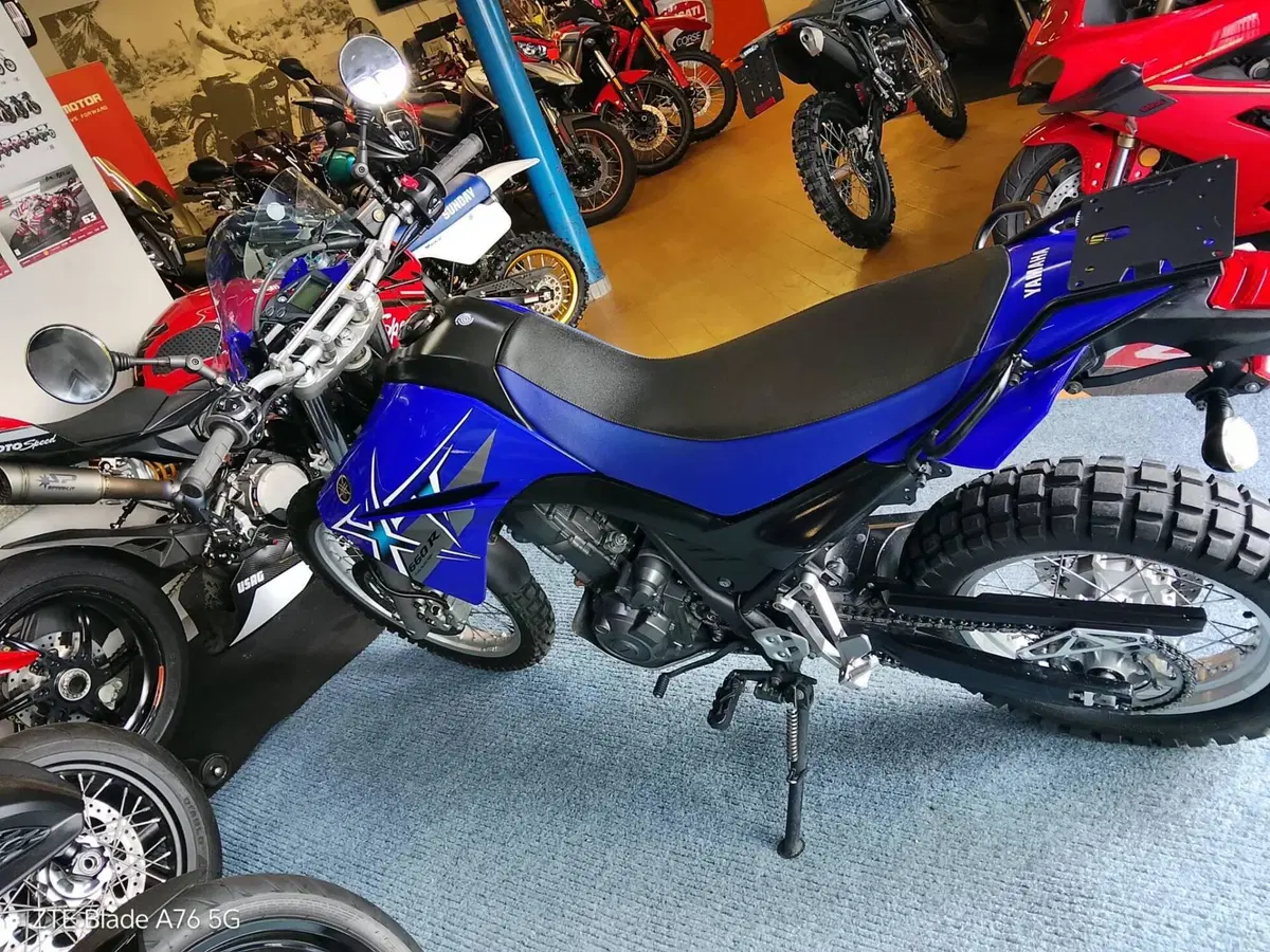 Yamaha XT 660 R (2004 - 16) (3)
