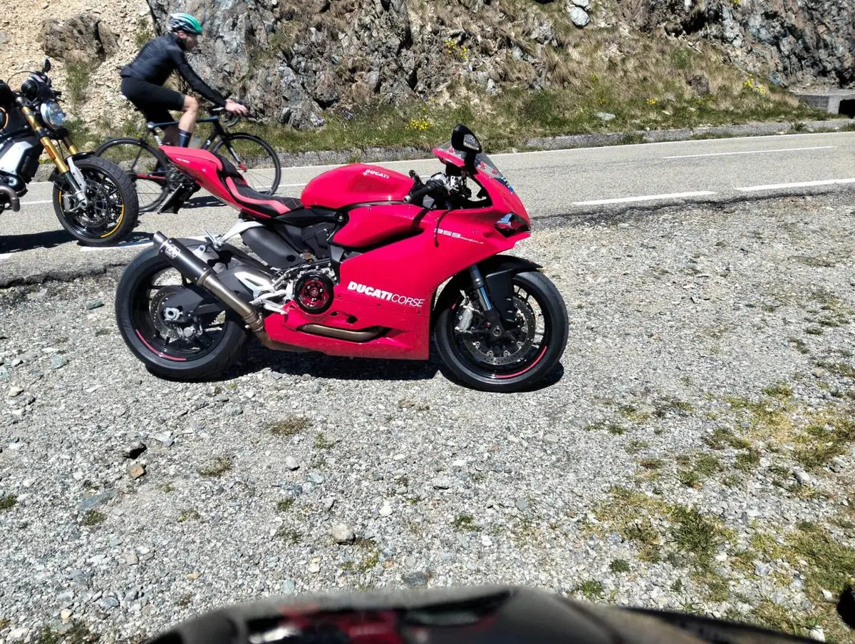 Ducati 959 Panigale Corse (2018 - 19) (6)