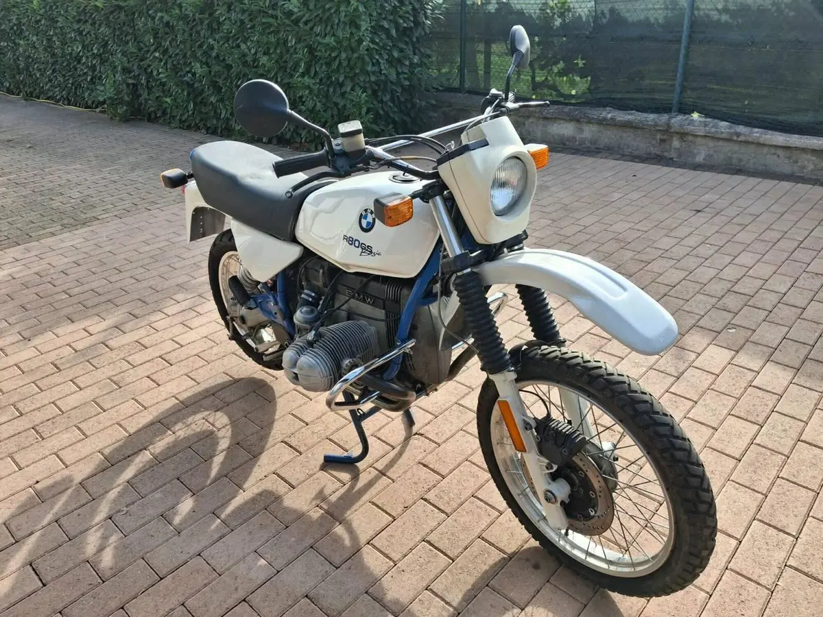 Bmw r80 gs basic (4)