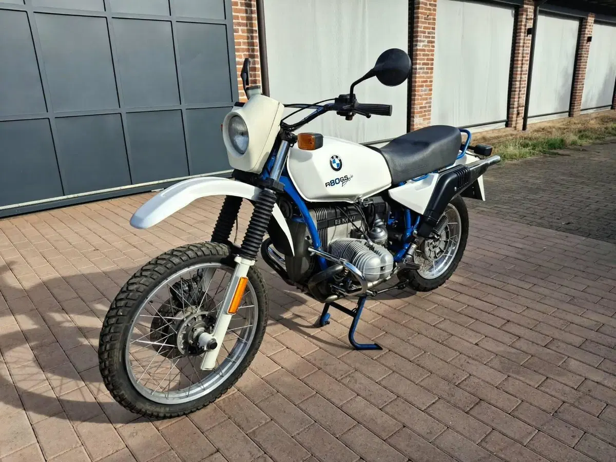 Bmw r80 gs basic (5)