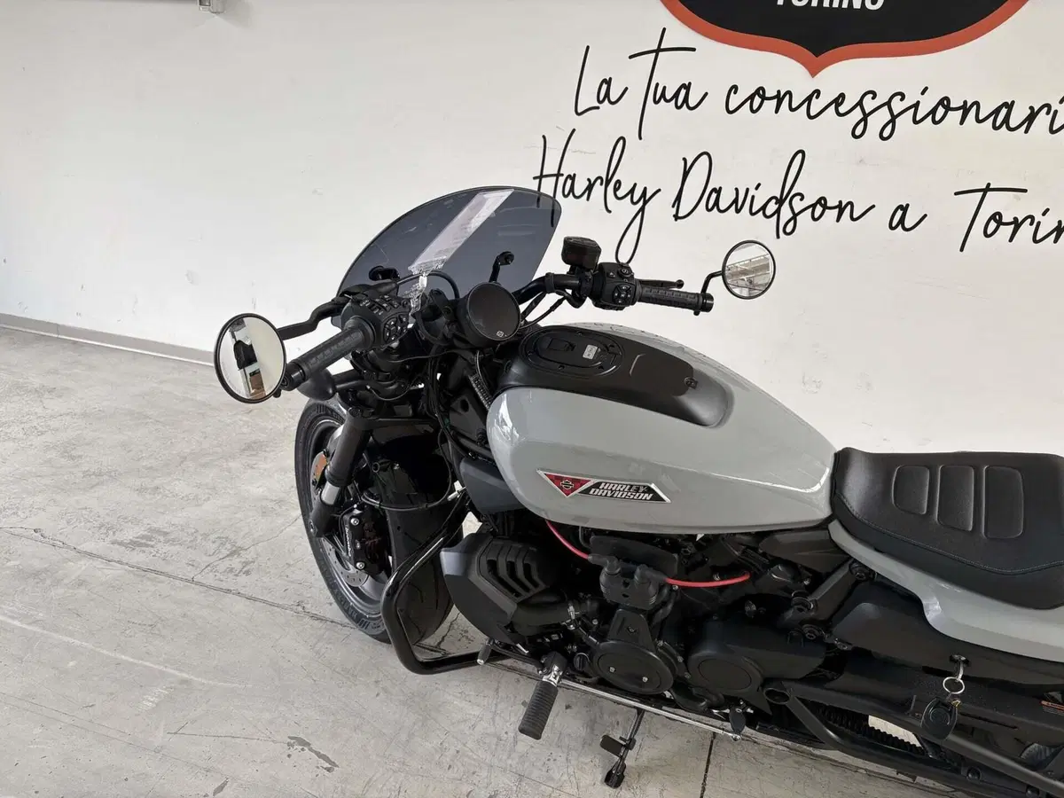 Harley-Davidson Sportster S (2025 - 26) (2)