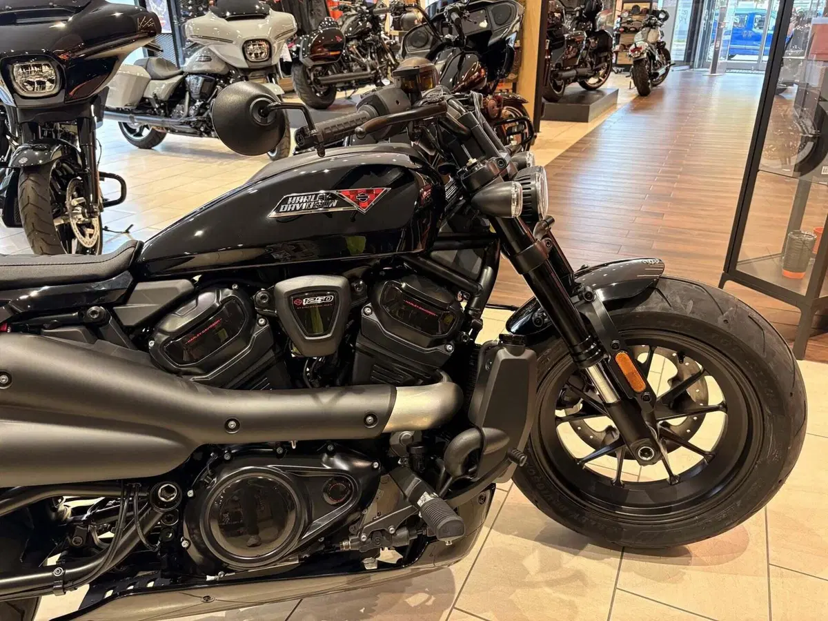 Harley-Davidson Sportster S (2025 - 26) (2)