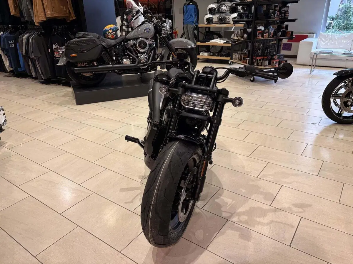 Harley-Davidson Sportster S (2025 - 26) (5)