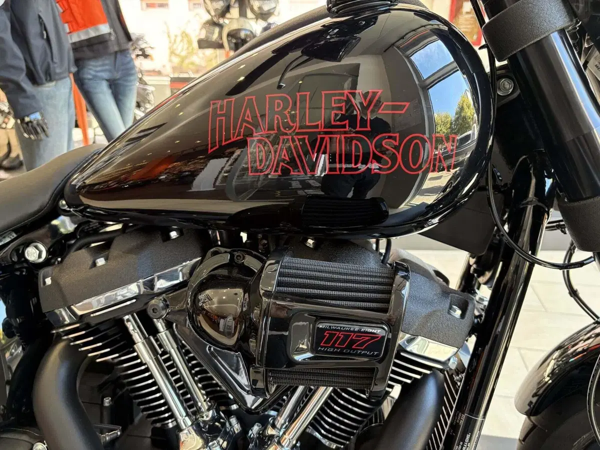 Harley-Davidson Low Rider S (2025 - 26) (2)