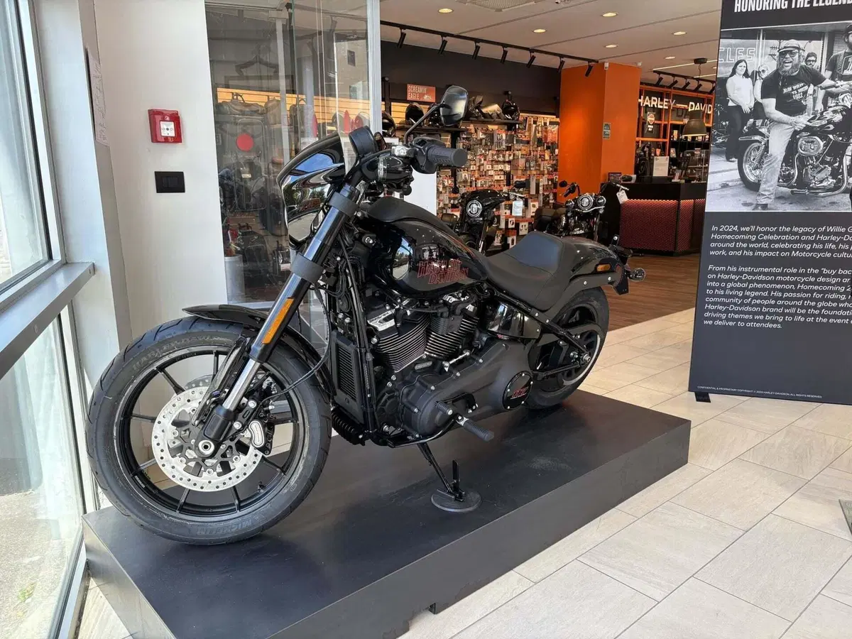 Harley-Davidson Low Rider S (2025 - 26) (3)