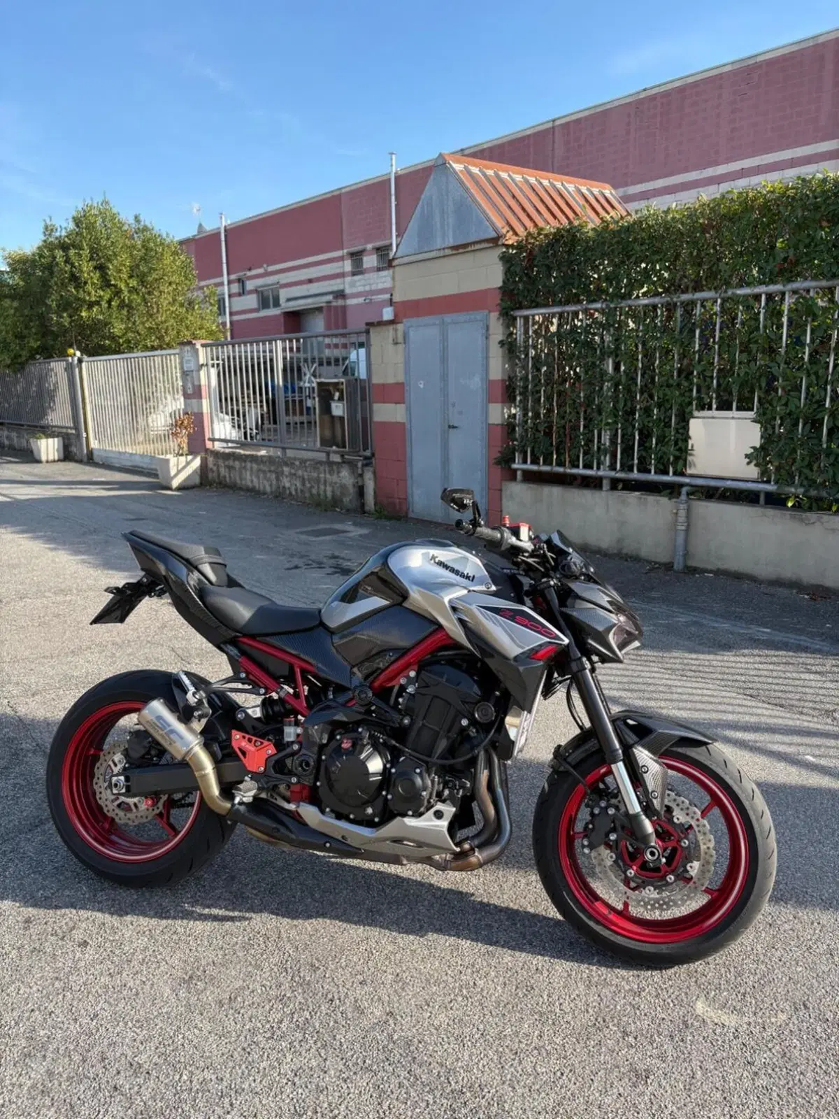Kawasaki Z 900 (2021 - 24)