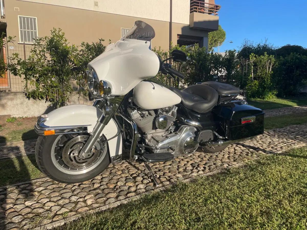 Harley-Davidson 1584 Electra Glide Standard (2007) - FLHT (3)