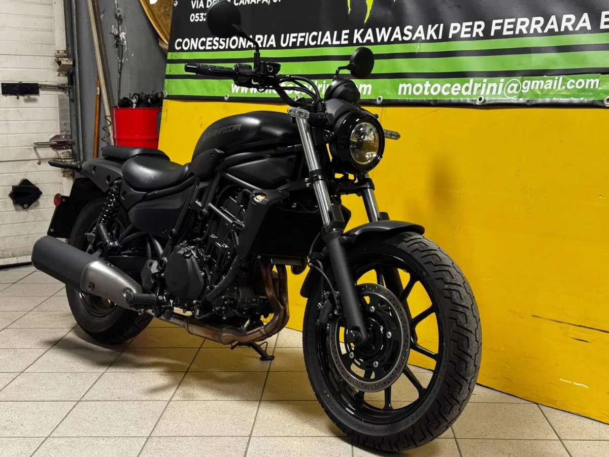 Kawasaki Eliminator 500 (2024 - 26) (5)