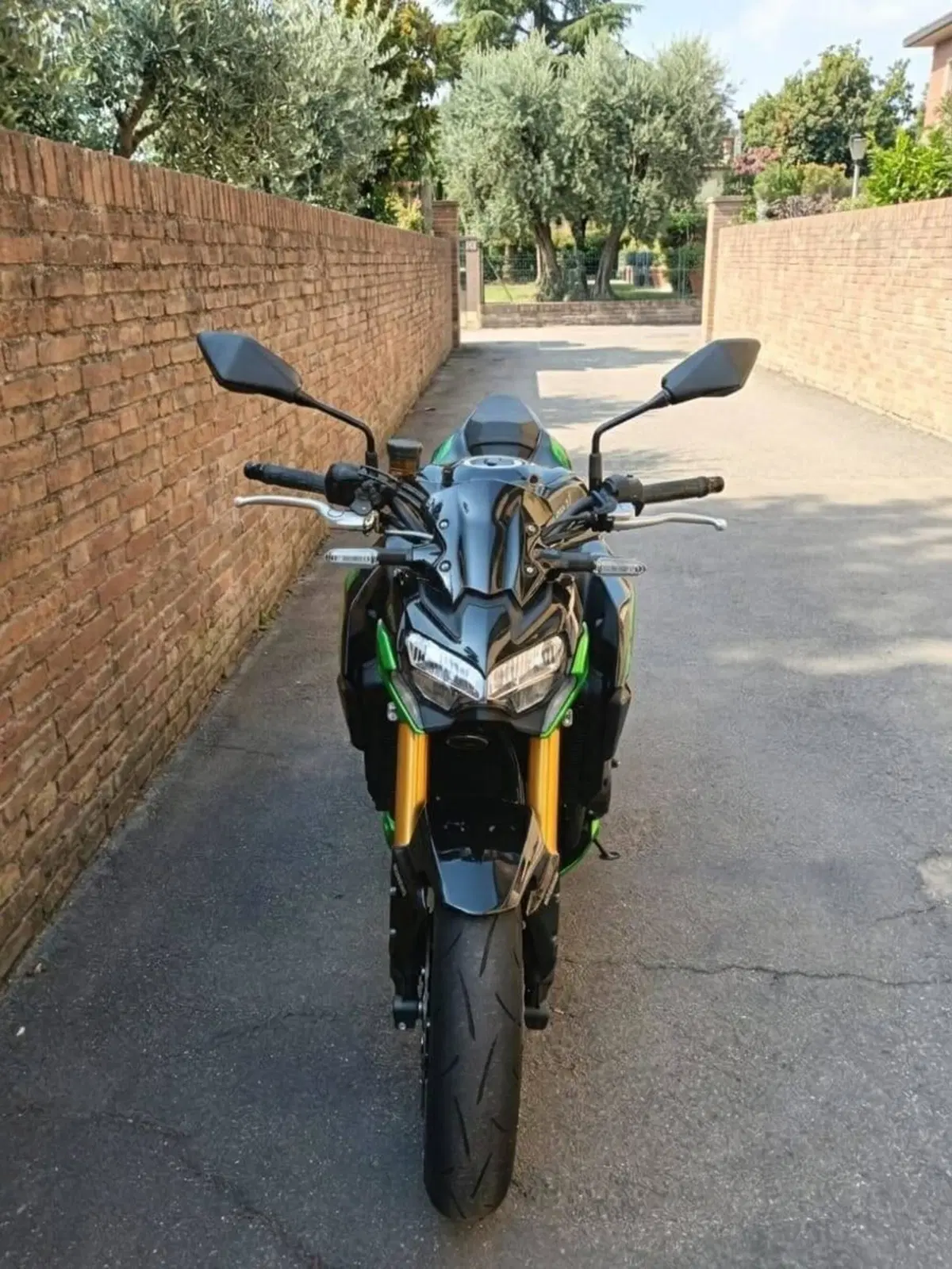 Kawasaki Z 900 (2021 - 24) (5)