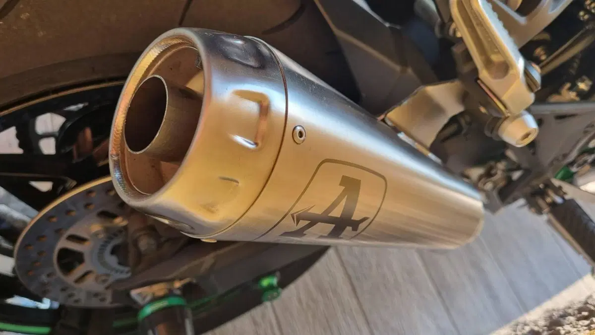 Kawasaki Z 900 (2025 - 26) (8)