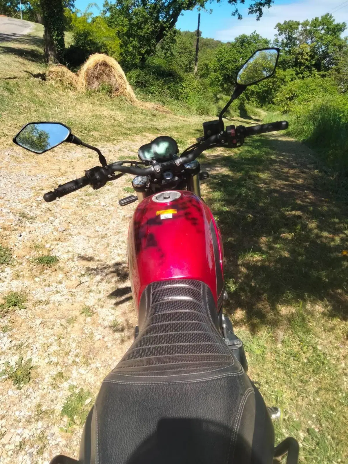 Benelli Leoncino 500 (2021 - 25)