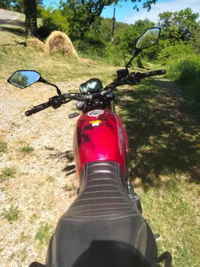 Benelli Leoncino 500 (2021 - 25) usata