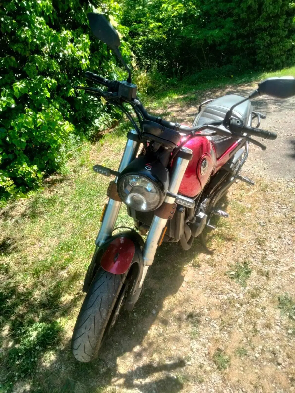 Benelli Leoncino 500 (2021 - 25) (3)