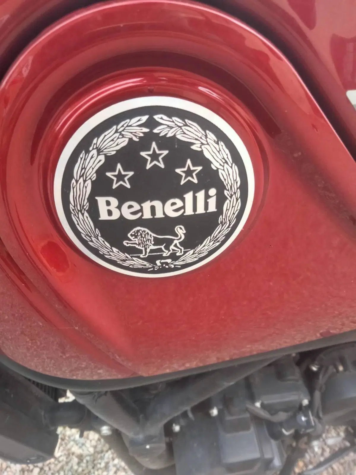 Benelli Leoncino 500 (2021 - 25) (4)