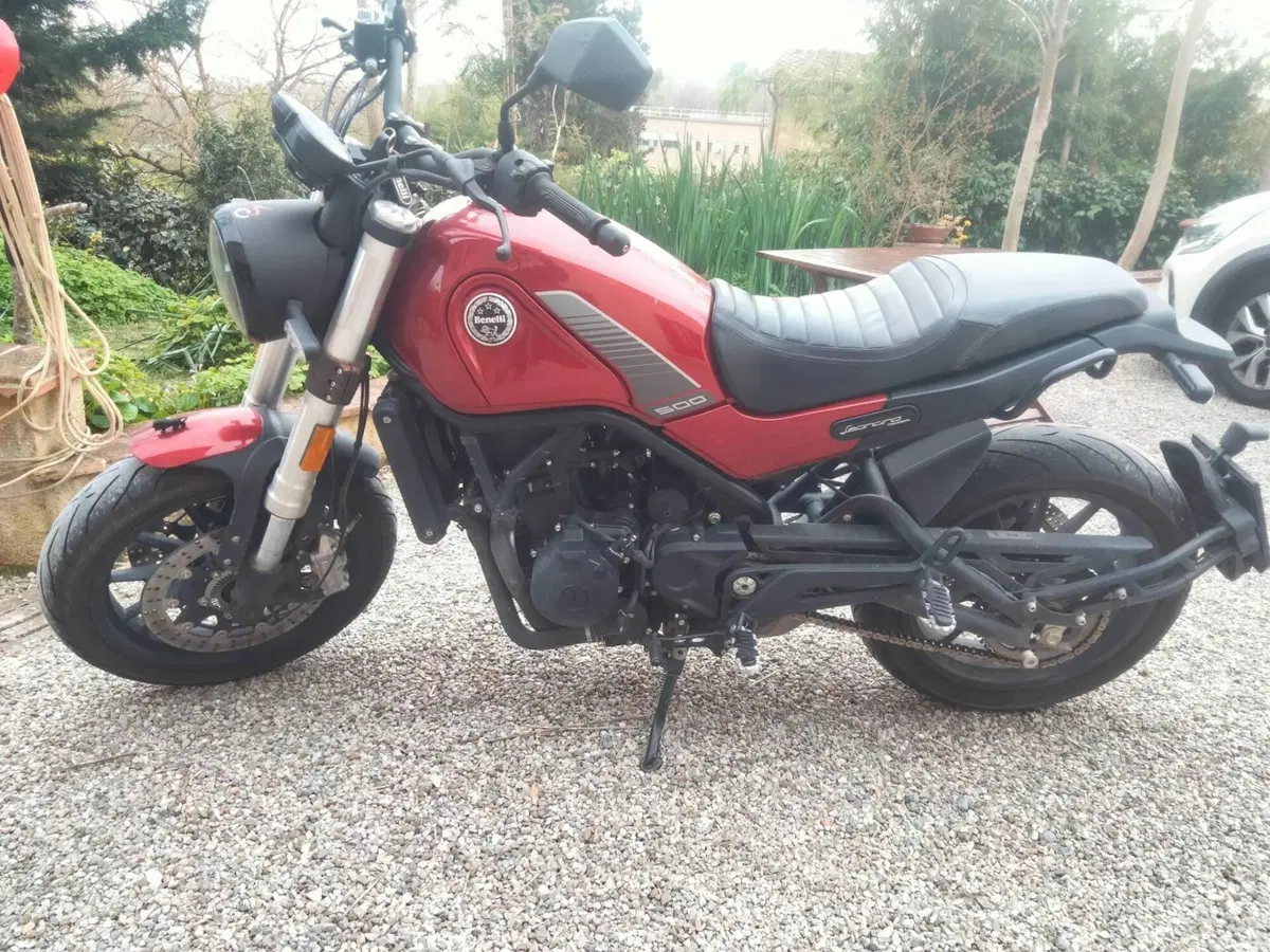 Benelli Leoncino 500 (2021 - 25) (6)