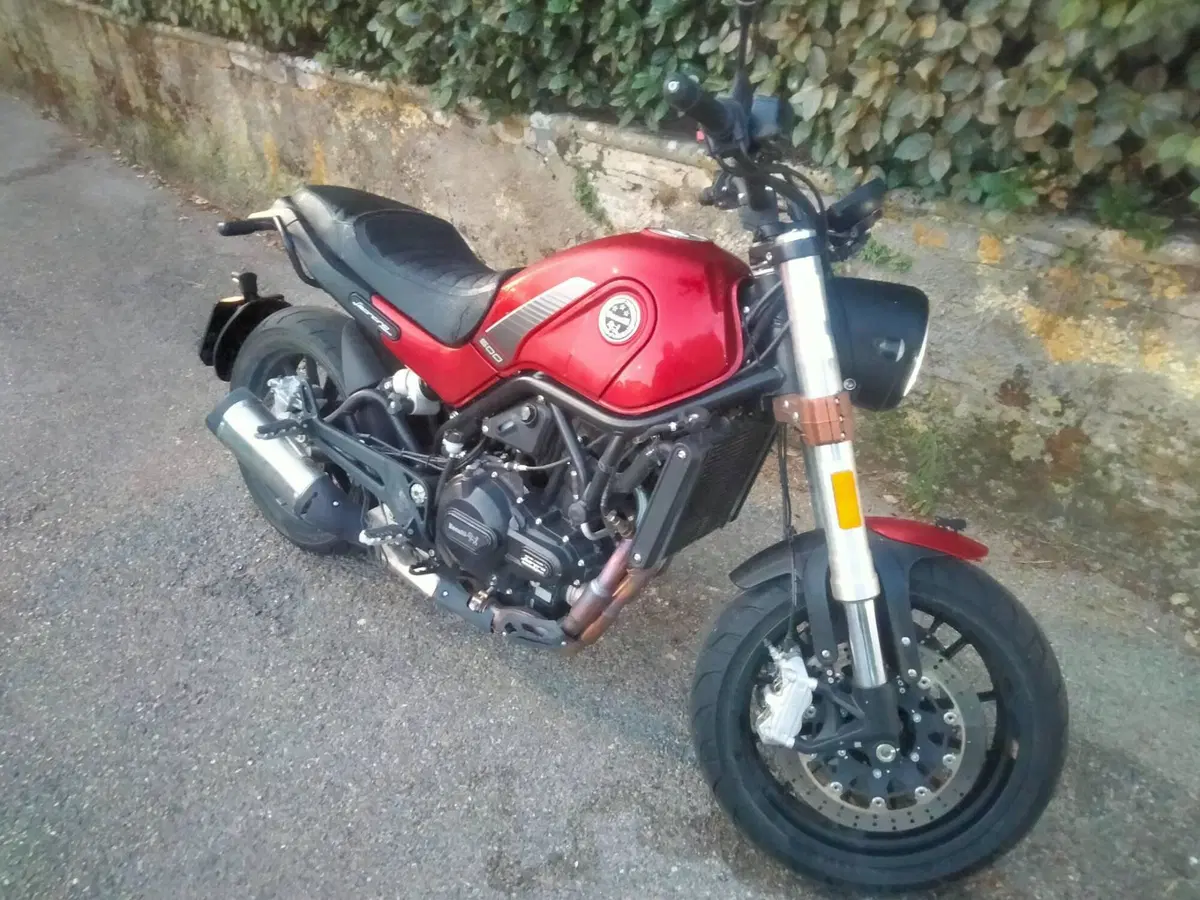 Benelli Leoncino 500 (2021 - 25) (7)