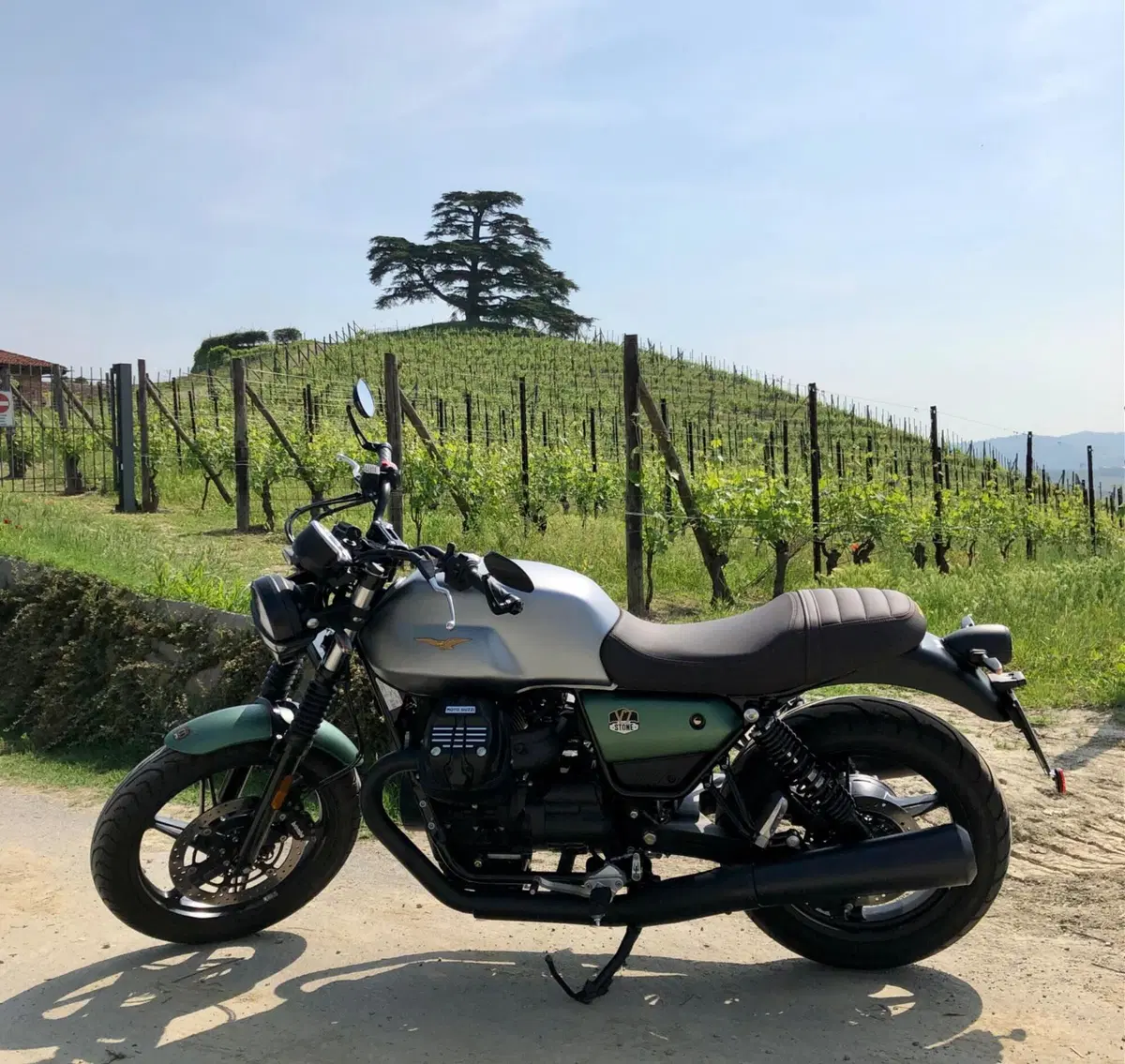 Moto Guzzi V7 Stone Centenario (2021 - 22) (5)