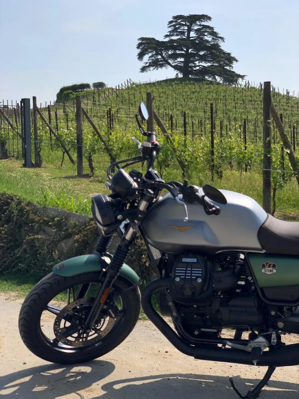 Moto Guzzi V7 Stone Centenario (2021 - 22) (6)