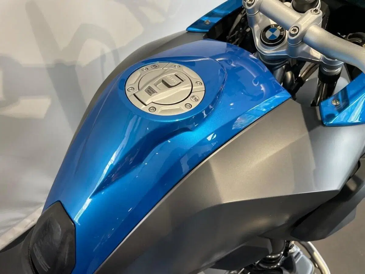 Bmw R 1250 GS (2019 - 20) (4)