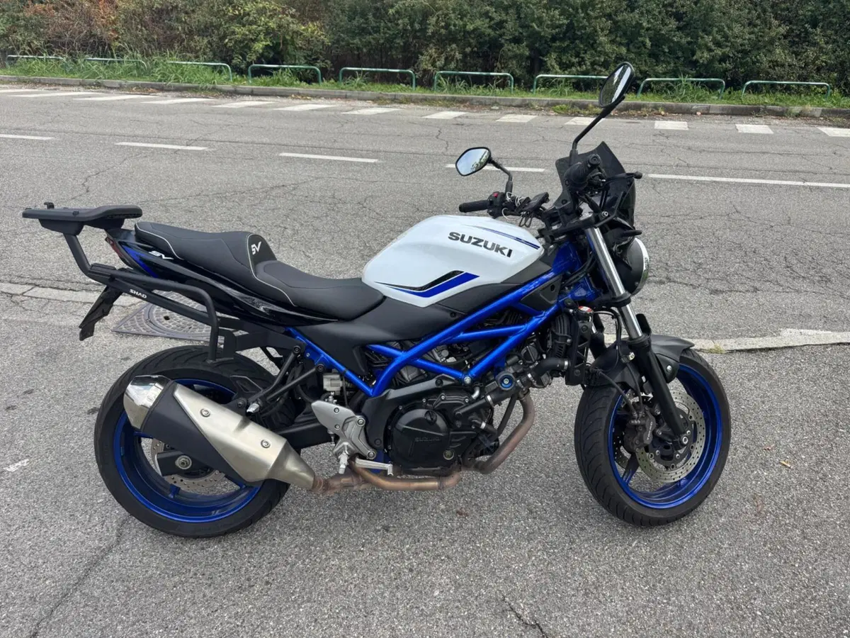 Suzuki SV 650 (2016 - 20)