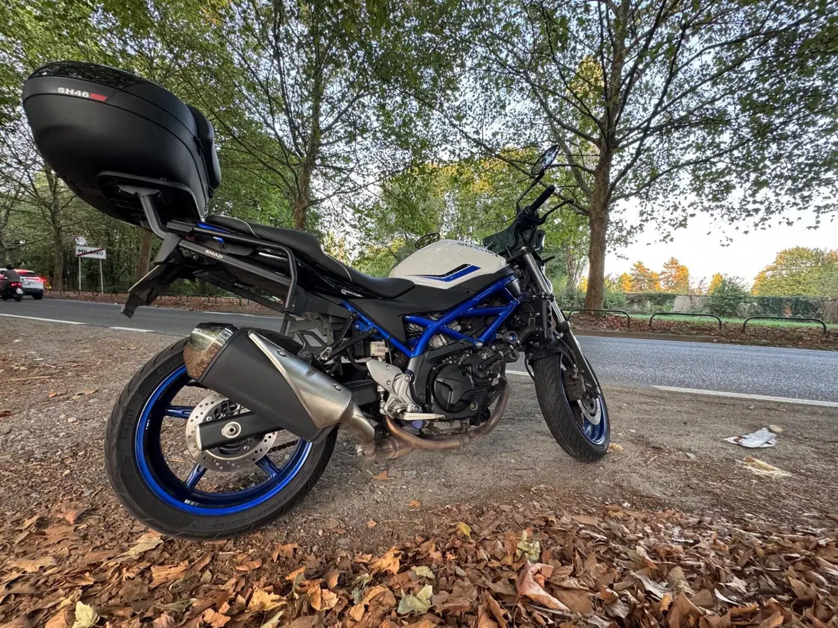 Suzuki SV 650 (2016 - 20) (3)